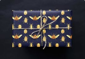 An image of a gift, wrapped with insect-patterned wrapping paper.