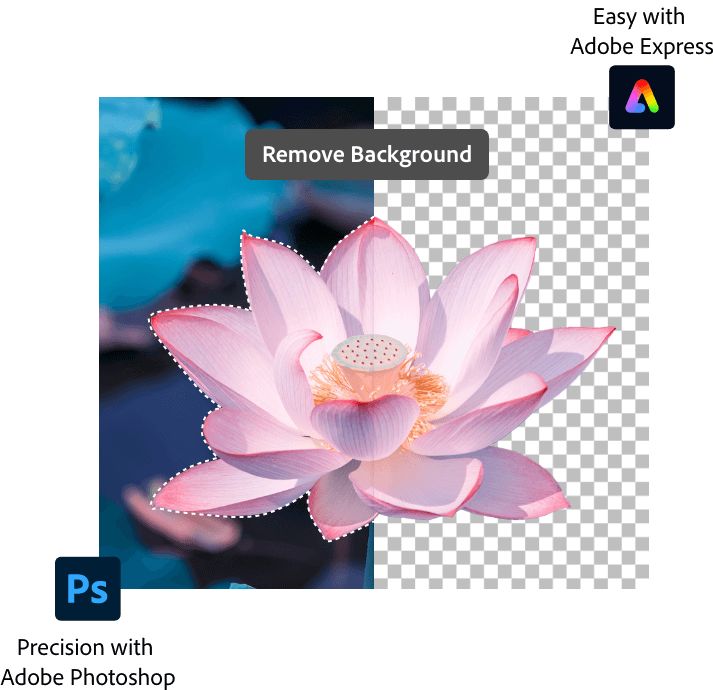 Photoshop Marquee image