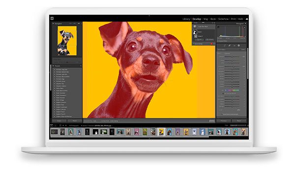 Adobe Photoshop Lightroom Classic: Adobe Photoshop Lightroom Classic là công cụ mạnh mẽ cho các nhiếp ảnh gia chuyên nghiệp và người yêu thích nhiếp ảnh. Hãy xem hình ảnh để khám phá cách sử dụng công cụ này để tạo ra những tác phẩm nhiếp ảnh đẹp nhất. 