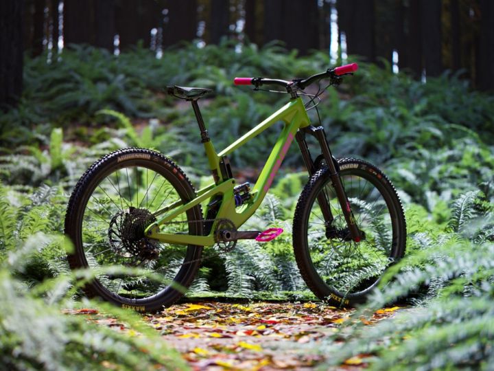Zekud design saddle online