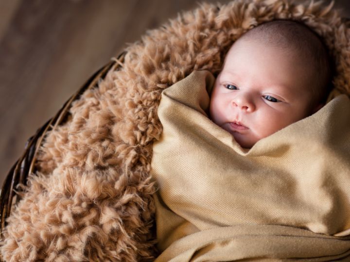 Baby photography basket 2025