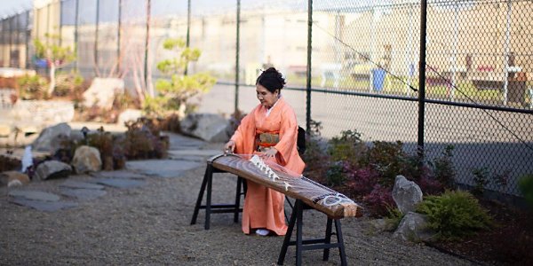 Person wearing a kimono playing a guzheng as an example of photojournalism