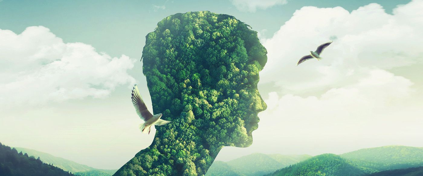 adobe photoshop training course for