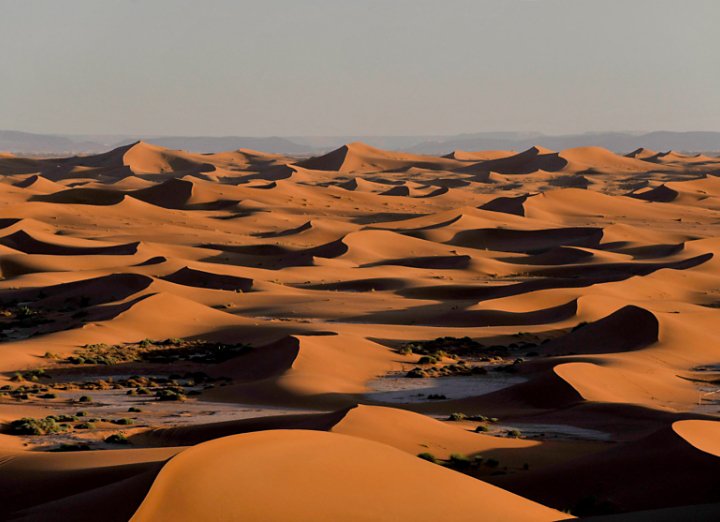 A photo of a desert landscape.