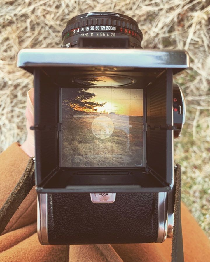 How To Add A Vintage Aesthetic To Photos Adobe