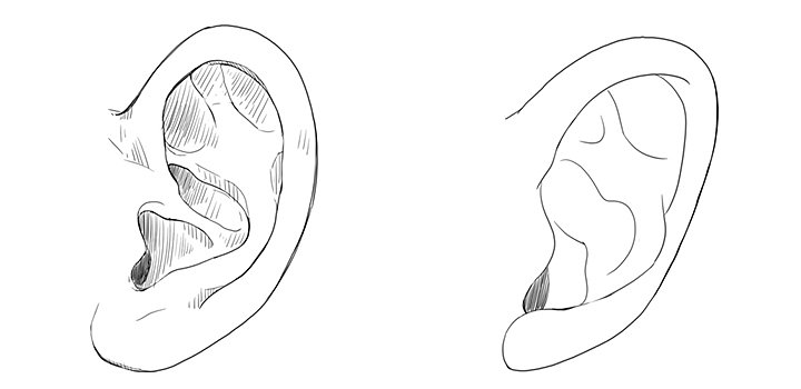バランスのとれた耳の描き方 エルフ耳 獣耳の描き方や簡単な耳の描き順